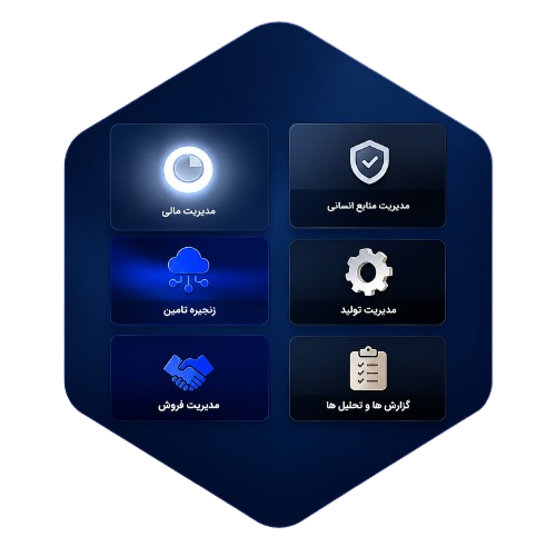 demis erp image